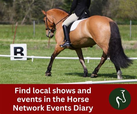 horse events north yorkshire